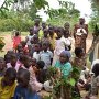 AIDS Symptomatic Orphans - Dec 2007